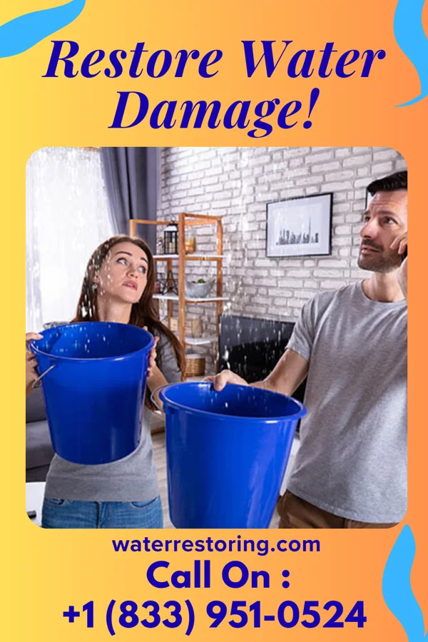 water restoration Diamond Recovery Team Greenville