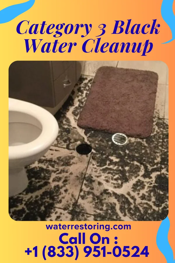 Category 3 Black Water Cleanup in Greenville, DE